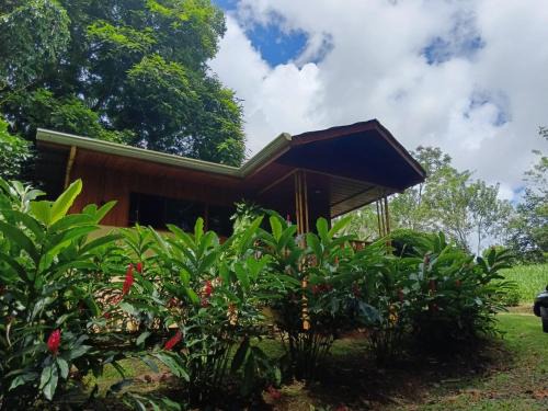 Penas Blancas Casa | Gambas Lodge