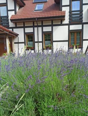 gmina Siemysl Casa | Gandelinka Park Kędrzyno