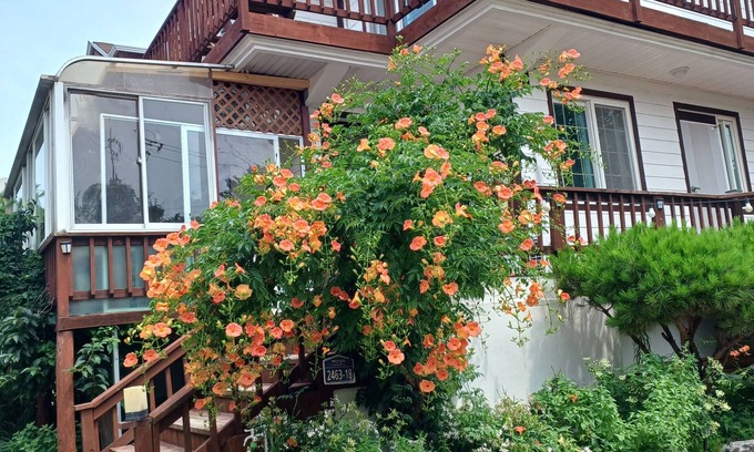 Ganghwa Casa | Ganghwa Sweet House Pension