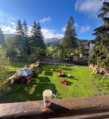 Predeal Apartamento | Garden Apart Predeal