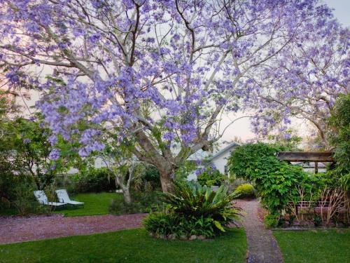 Tea Gardens Casa | Garden Cottage