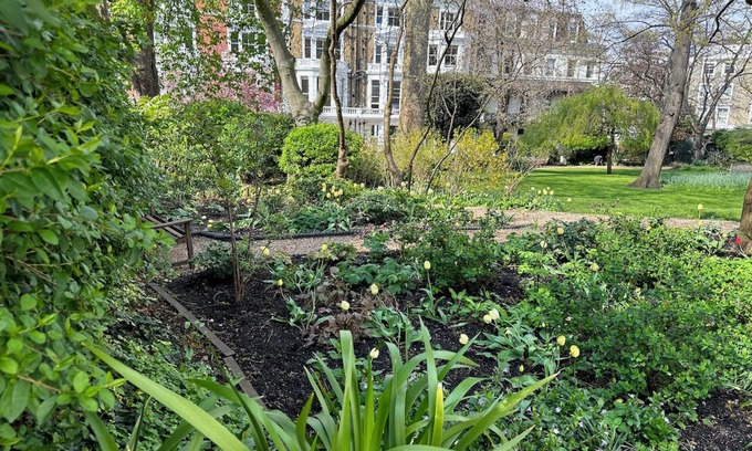 Holland Park Cabaña | Garden cottage in the middle of Nottinghill. Walk to great food, tube & shops