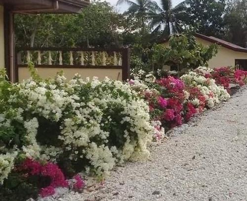 Santander Casa | Garden INN