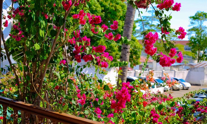 Stone Town Hotel | Garden Lodge