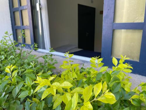 Garanhuns Apartamento | Garden Room Comfort