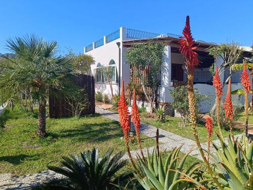 Vulcano Porto Casa | Garden & Sea