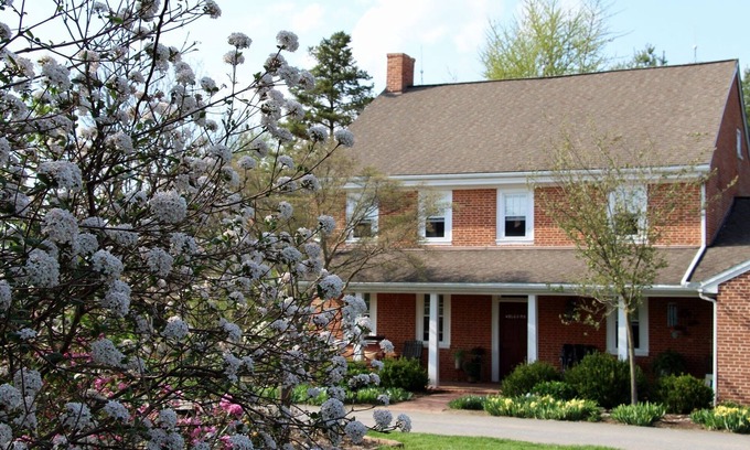 New Holland Otro | Suite Garden Thyme Farm