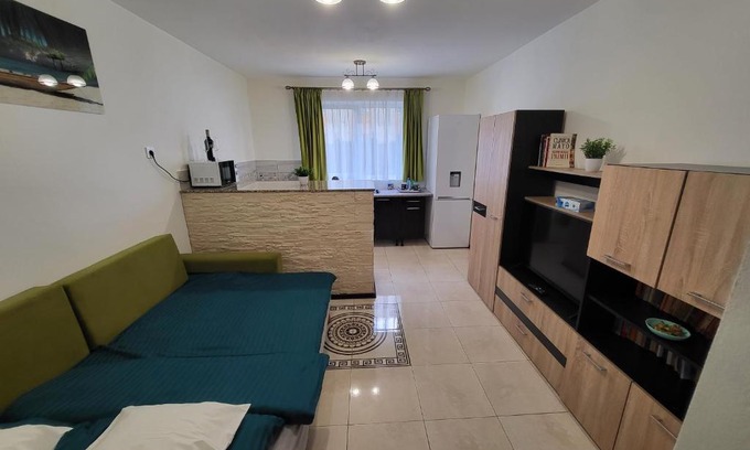 Sibiu Apartamento | Garsoner Green Home