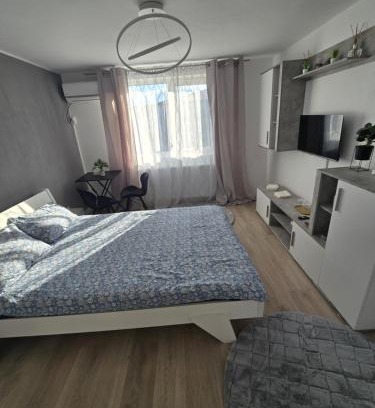 Timisoara Apartamento | Garsoniera - moderna - Timișoara