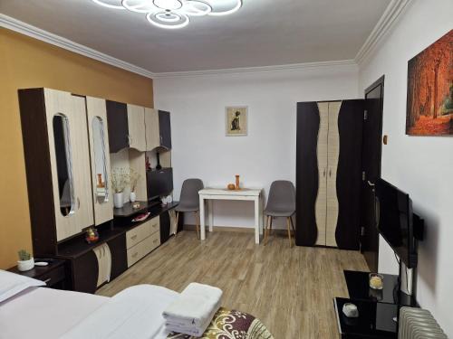 Baile Herculane Apartamento | Garsoniera