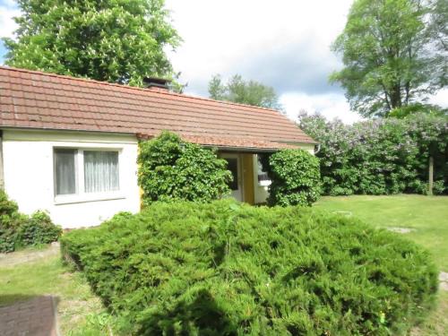 Warenthin Casa | Gartenhaus