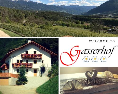 Naz Sciaves Apartamento | Gasserhof Aicha