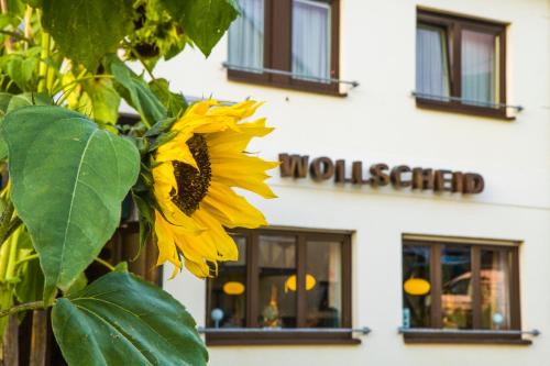 Tarforst Casa | Gasthaus Wollscheid