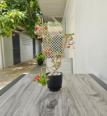 San Juan Apartamento | Gated Riverside Studio Apartment