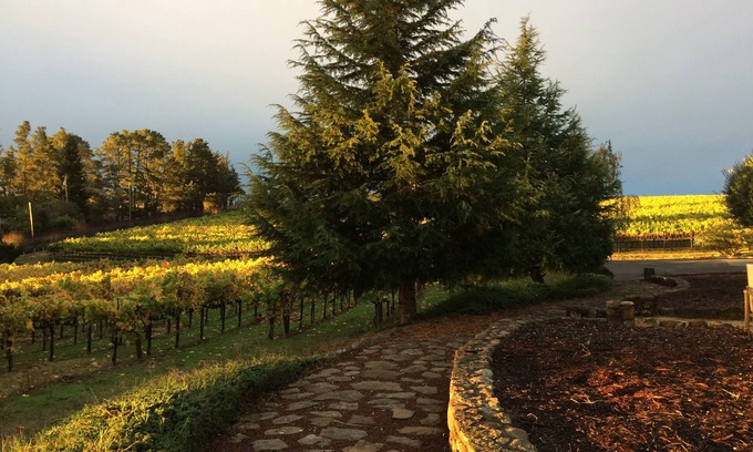 Sebastopol Casa | Finca cerrada en el país del vino en medio de cientos de acres de viñedos