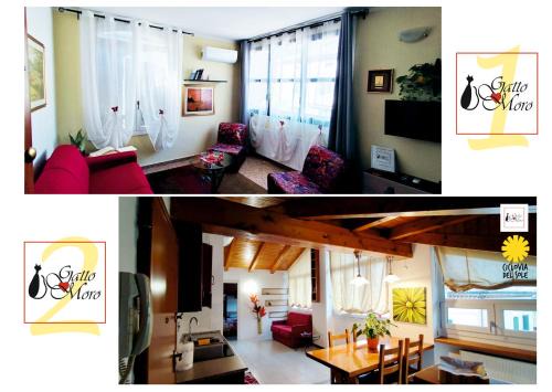 Longara Casa | GattoMoro