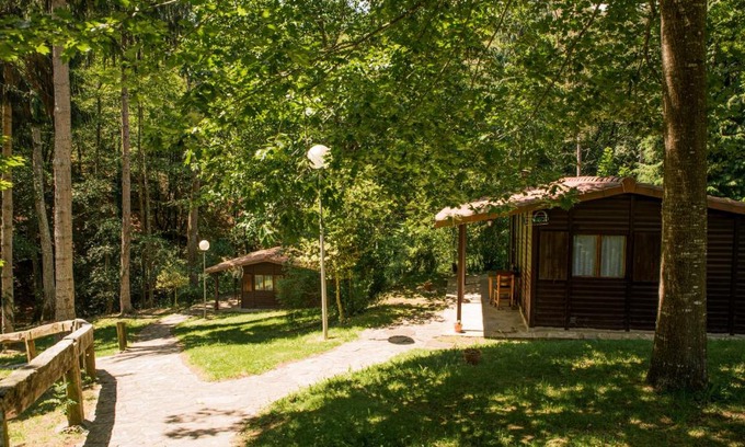 Leintz-Gatzaga Apartamento | Gaztainuzketa Mendi Etxeak