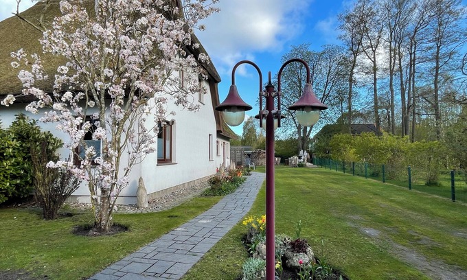 Ostseebad Prerow Apartamento | Gemütliche Ferienwohnung Parterre Unterm Reetdach