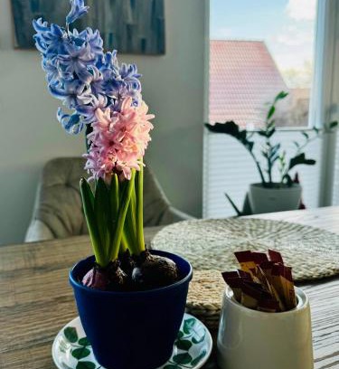 Purgen Apartamento | gemütliche Ferienwohnung mit Garten
