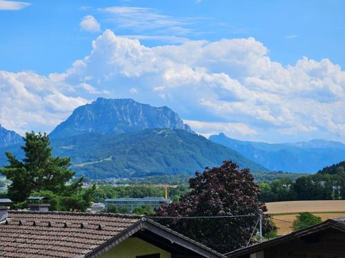 Ohlsdorf Apartamento | Gemütliche Wohnung in der Nähe von Gmunden