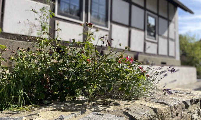 Kalletal Casa | Gemütliches Fachwerkhaus im Kalletal