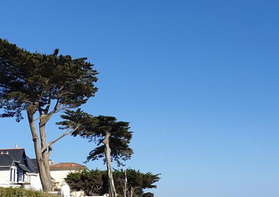 Pornichet Casa | Genêts d'Armor