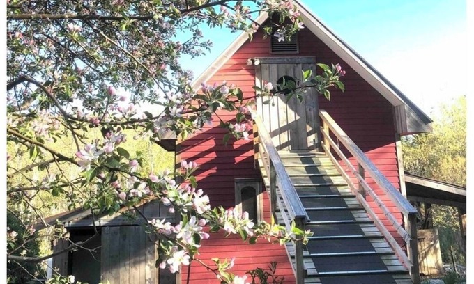 Franklin Cabina | Genuine Farm experience! Barn loft on Organic Farm—pet pig and chickens below!