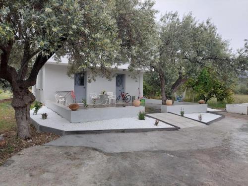 Kandia Casa | Gesyl house