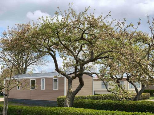 Oostkapelle Chalet De Esquí | Gezellig chalet in het mooie Zeeland - Oostkapelle