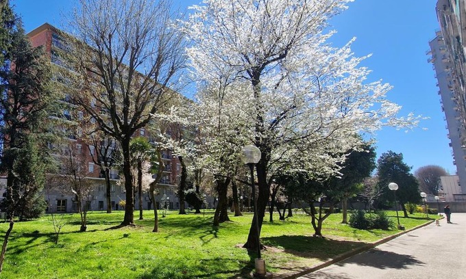 Binda Apartamento | Giardino sul Naviglio