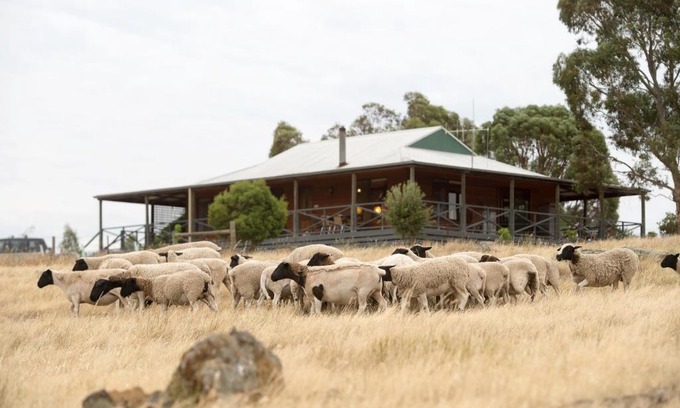 Eppalock Casa | Gilgraves Vineyard Farmstay