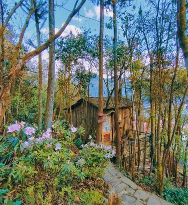 Sa Pa Chalet De Esquí | Gio Homestay & Bungalow Sapa