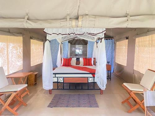 Maasai Mara Casa | Giraff maasai mara home stay&safaris