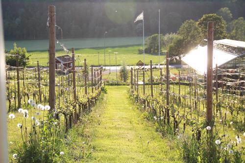Huskvarna Cama Y Desayuno | Gisebo Vingård