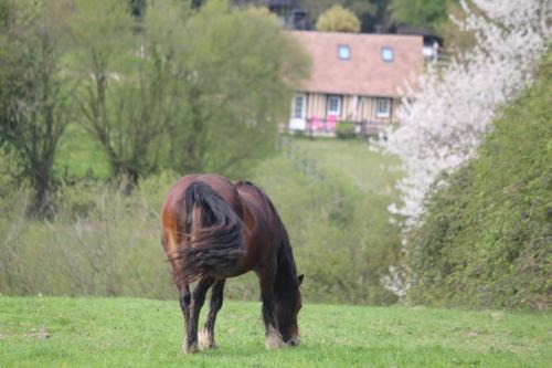 Pays d'Auge Casa | Gite A la petite Bretonnière