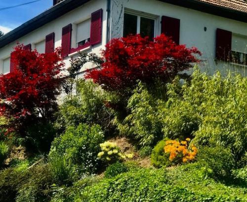 Breitenbach-Haut-Rhin Casa | Gite Chez Mimie