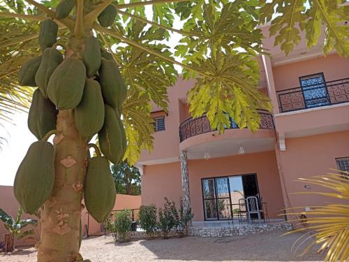 Saly Petite Cote Casa | Gite de la savane
