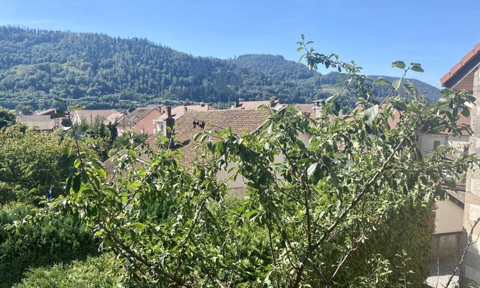 Rupt-sur-Moselle Casa | Gite LE Pt'it Rupt Refuge Cocooning