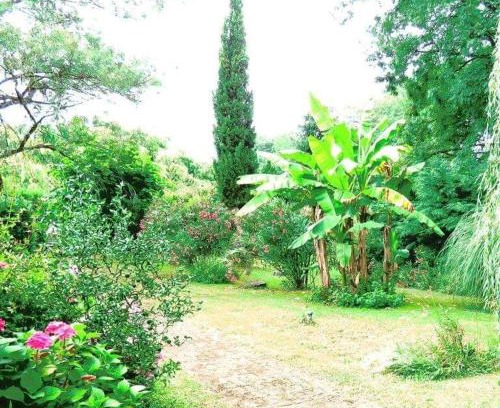 Buanes Apartamento | Gite Matilon, 5 min Eugénie les Bains