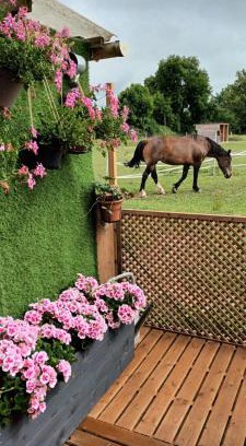 Malleville-sur-le-Bec Casa | Gite o vert