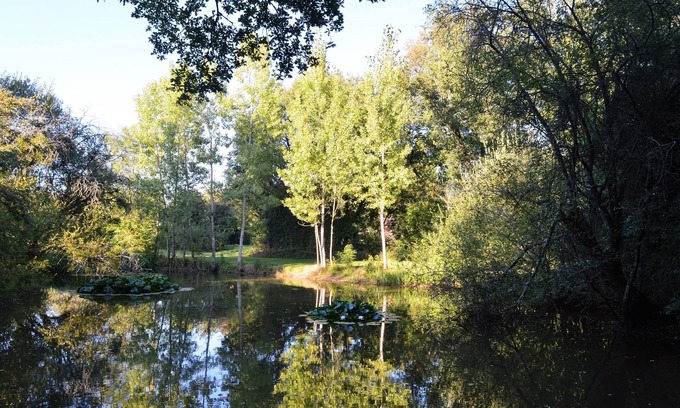 Savigne Cabaña | Casa rural con piscina privada en Savigné