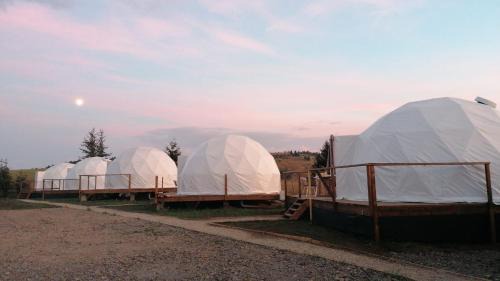 Toplita Otro | Glamping 4 us