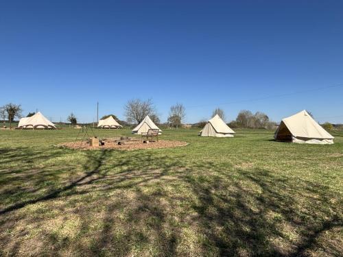 St Albans Otro | Glamping and Camping at The Orchard