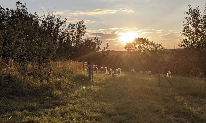 Laval Casa | Glamping by Horizon Mohair, Espace Valériana!