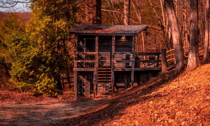Lynx Cabina | Glamping Cabin | Huge Window | Nature Lovers Dream
