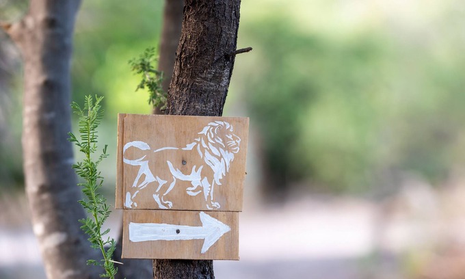 Maun Casa | Glamping in comfort between Maun and Moremi