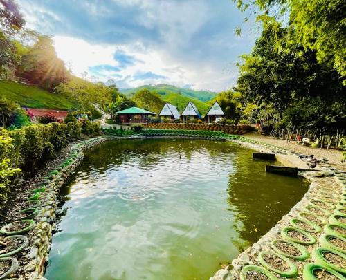 La Estrella Cabina | Glamping La Cabanita Santuario