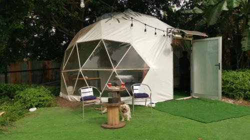 Escazú Otro | Glamping Lily