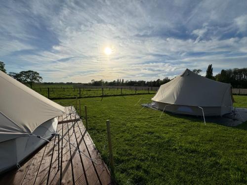 Aartrijke Otro | Glamping Mangoeste