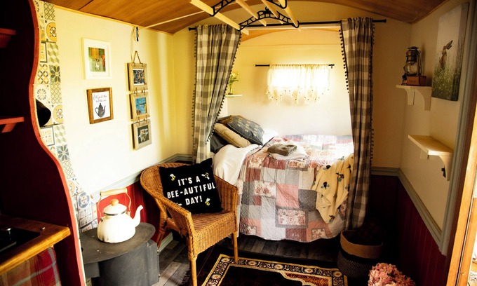 Holt Cabina | Glamping Shepherds Hut in Holt Hollow, Rural North Norfolk, Dog Friendly